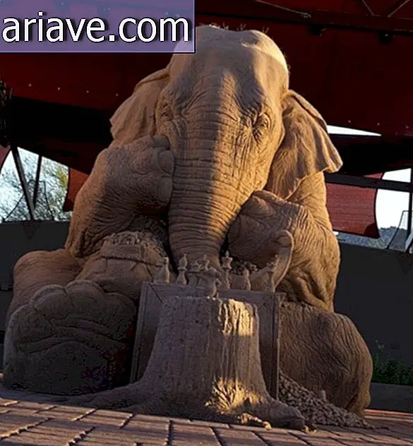 Elefantti tai rotta: kuka voittaa tämän hiekkaveistetyn shakkimatkan?