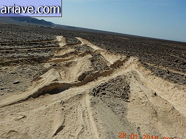 linky Nazca