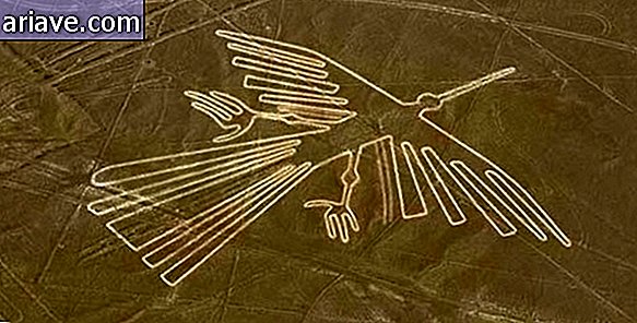 burung kolibri di nazca
