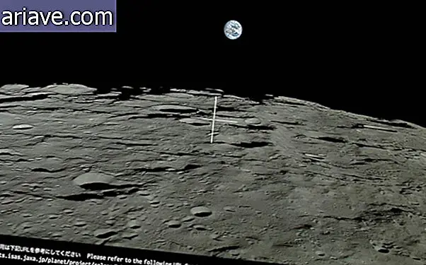 Il sorgere della terra dalla luna è impressionante.