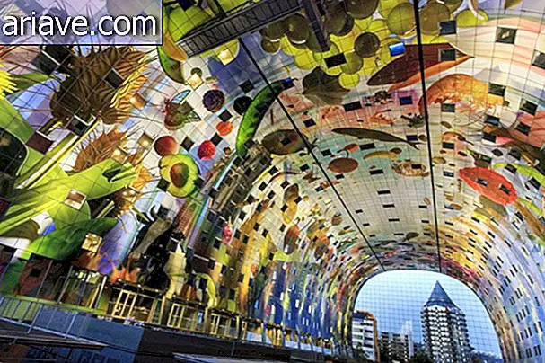 Une murale gigantesque transforme le marché municipal de Rotterdam en œuvre d'art