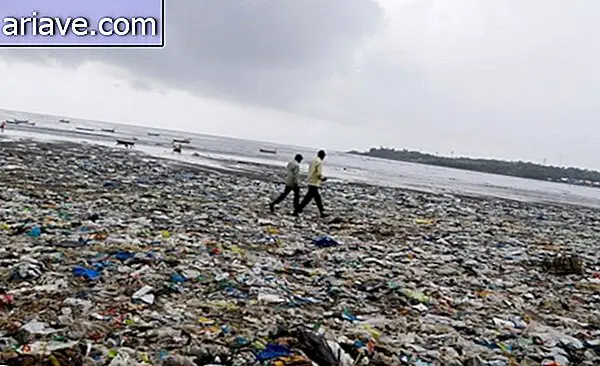 Ang dump na naging pinakamalaking proyekto sa pagbawi sa beach sa kasaysayan