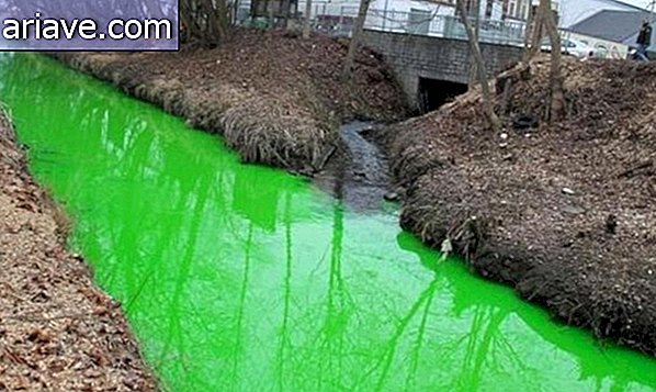 Rivier daagt met limoen groene kleuring in Duitsland