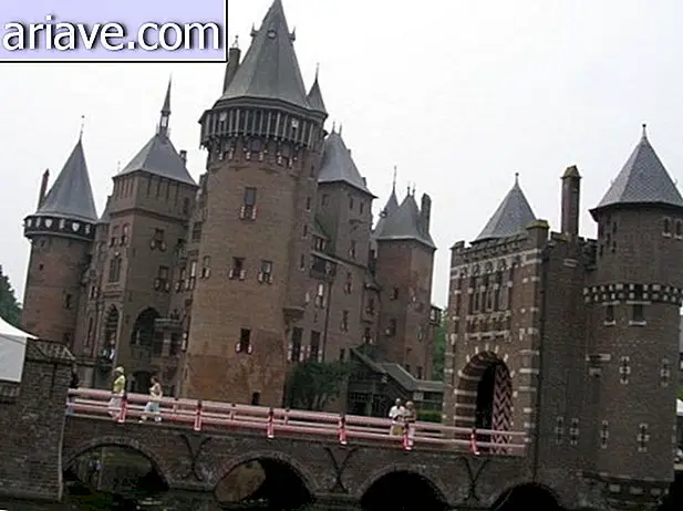 Castello di Haar nei Paesi Bassi