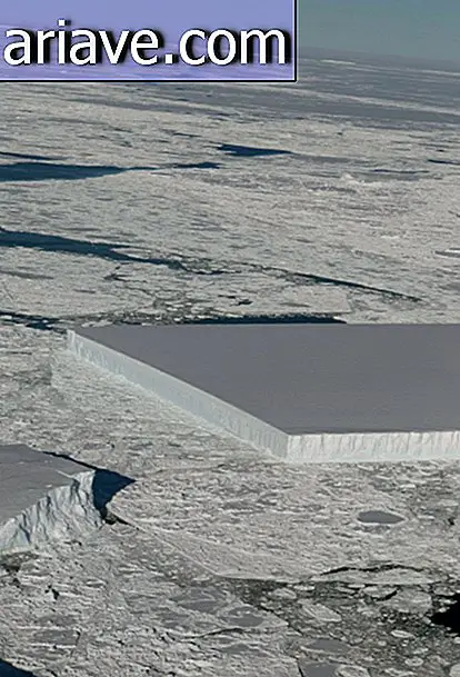 Rectangular iceberg