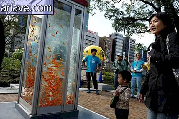 Художники превращают телефонные будки в аквариумы [галерея]