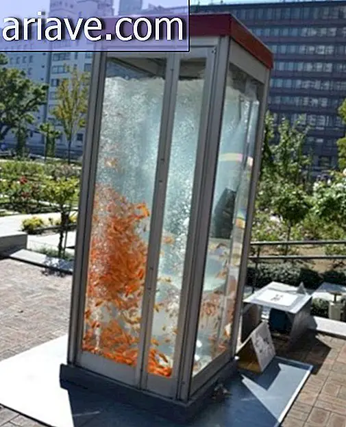 Художники перетворюють телефонні кабінки в акваріуми [галерея]