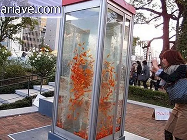 Artis mengubah bilik telepon menjadi akuarium [galeri]