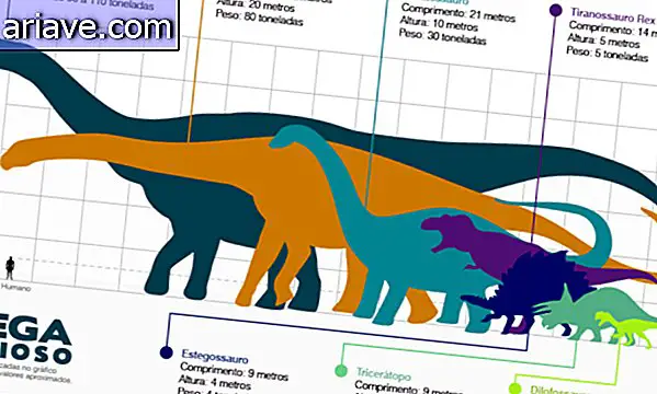 Forskare hittar fossil från en av de största dinosaurierna i världen
