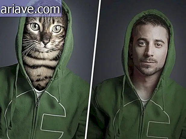 What if dogs and cats were dressed as their owners?