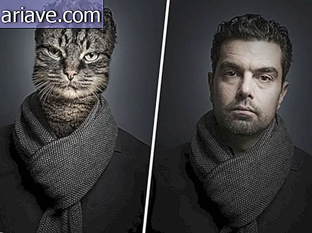 What if dogs and cats were dressed as their owners?