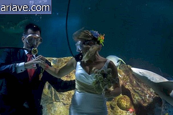 Пока акула не разделяет их? Испанская пара выходит замуж в тропическом аквариуме