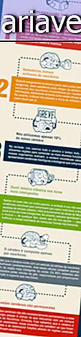 7 myter om den mänskliga hjärnan [Infographic]