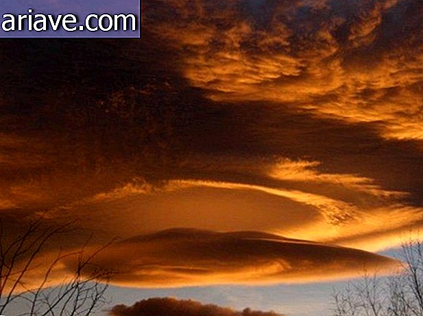 Linsenförmige Wolke während des Sonnenuntergangs in Nevada. Aufnahme von Chris Walker im Jahr 2008.