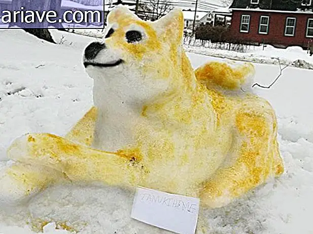 Arta înghețată: consultați aceste 25 de sculpturi uimitoare de zăpadă
