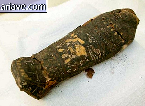Sarcofago egiziano