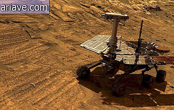 Rover-mulighet