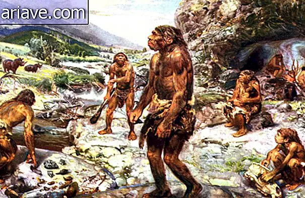 Neanderthals hunting