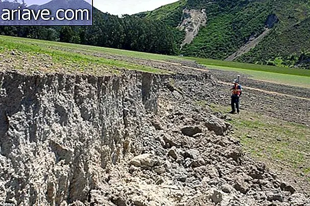 Sila narave: Potres dviga polje, ustvari morsko steno na Novi Zelandiji