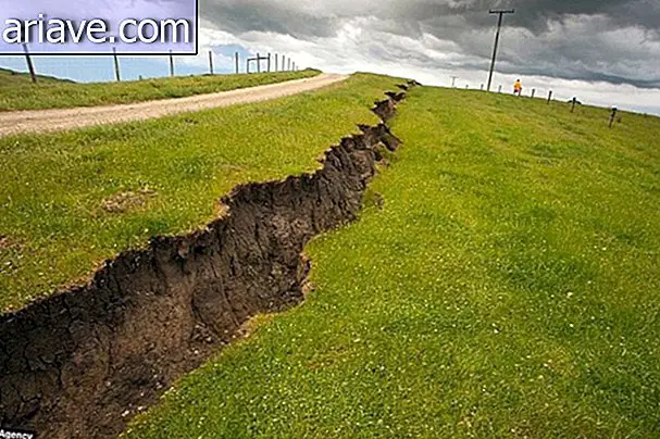 A természet ereje: A földrengés felemeli a mezőt, létrehozza a Seawall-t Új-Zélandon
