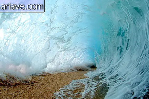 Voir une galerie avec de superbes photos de vagues