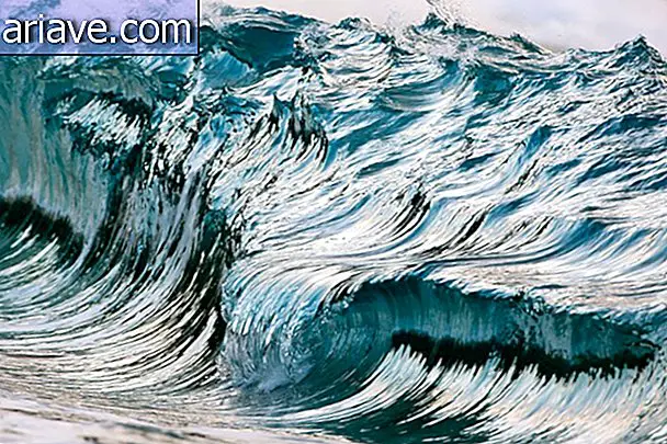 Voir une galerie avec de superbes photos de vagues