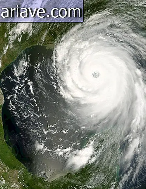 Ураган Катріна