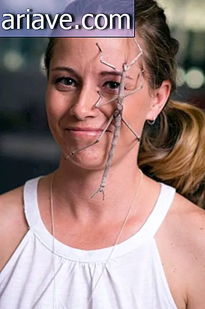 Ces photos d'une femme et de ses 5 araignées toxiques vont vous terrifier