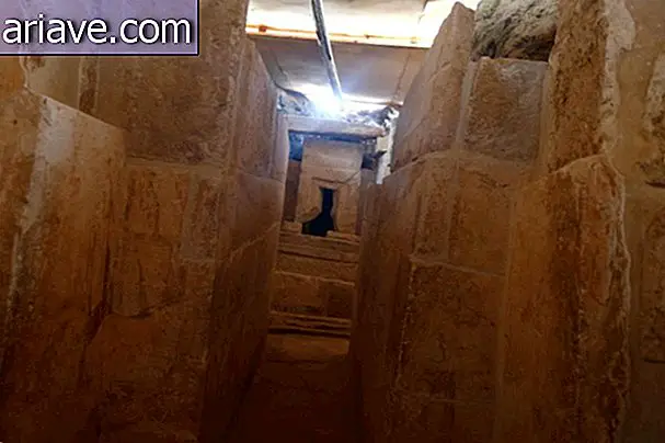 Tombe découverte en Egypte