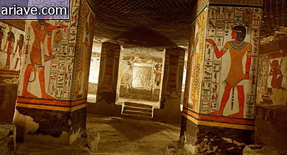Nefertari: Teekond igavikku