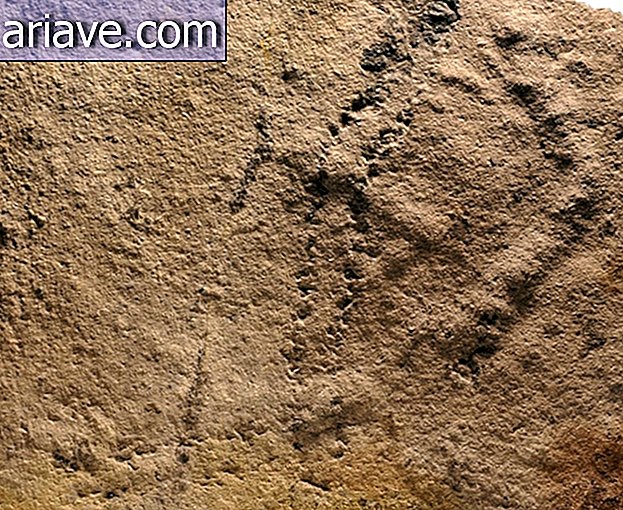 Die ältesten Fußabdrücke der Erde