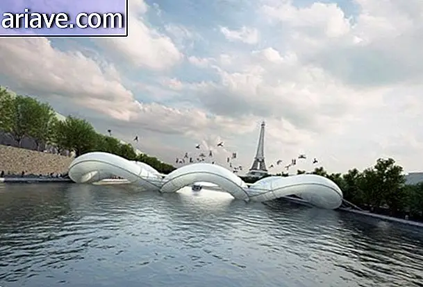Невежественная или невежественная идея: батутный мост