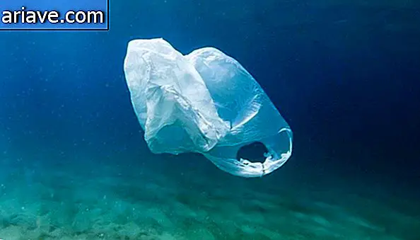 Plastic zak op zee