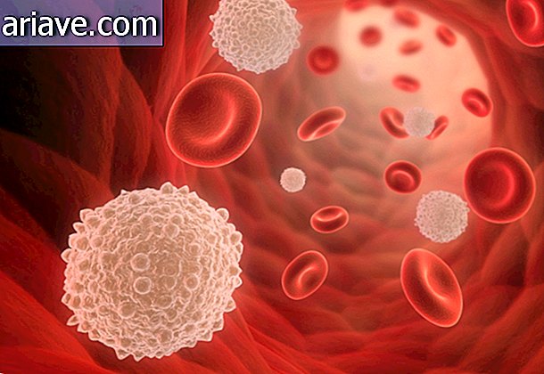 Vörös vérsejtek