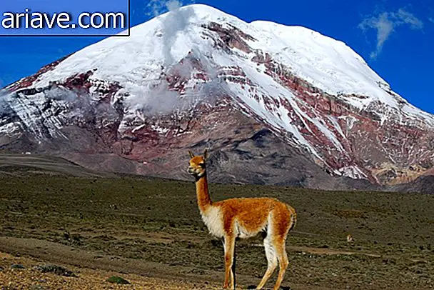 Chimborazo in Equacor