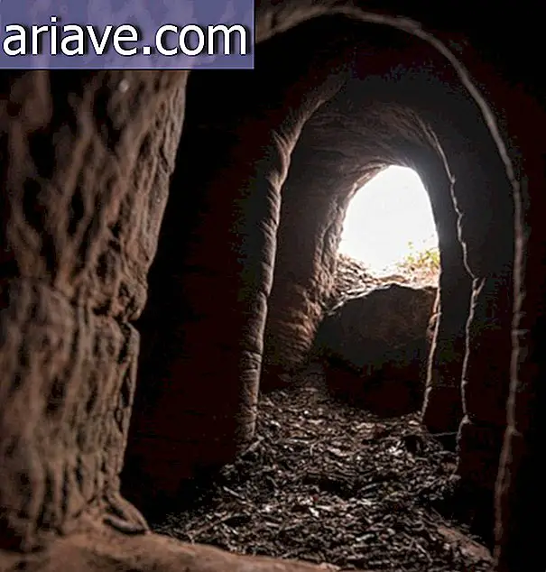 Čudežna dežela: Burrow, ki vodi v podzemni srednjeveški tempelj