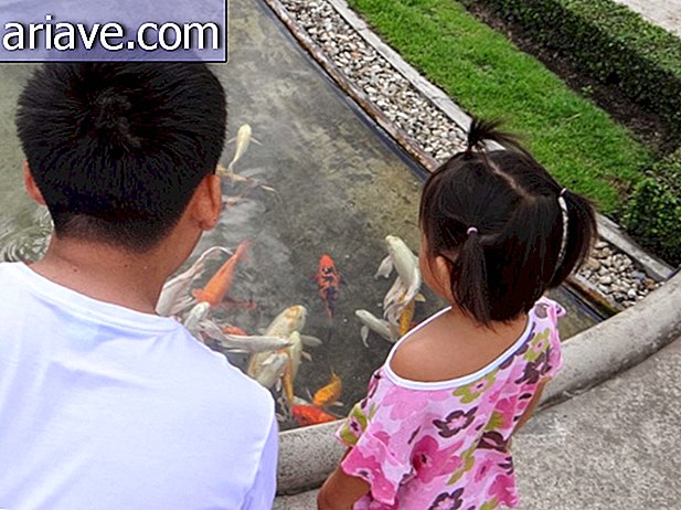 A turisták etethetik a halakat a templomot körülvevő tóban.