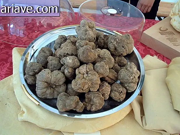 truffes blanches