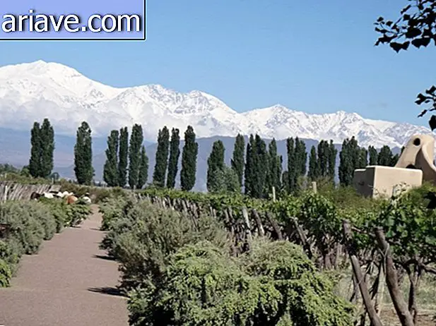 17 - Cavas Wine Lodge, Mendoza, Argentyna