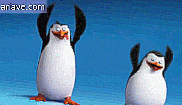 Pinguini de dans