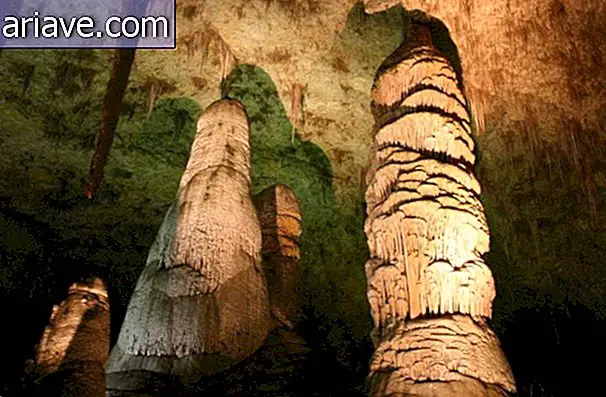 Son Doong: Največja jama na svetu je lepa in v njej lahko stoji nebotičnik