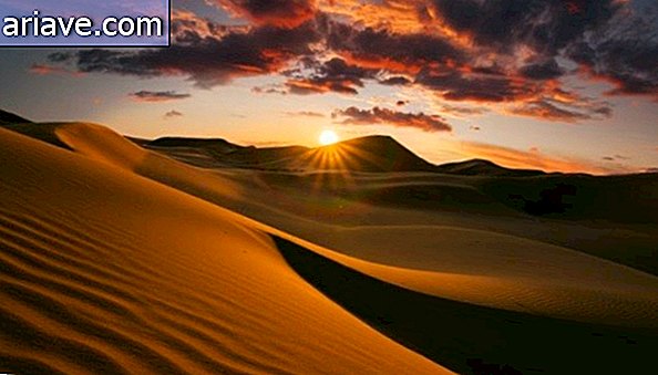 Puščava Sahara