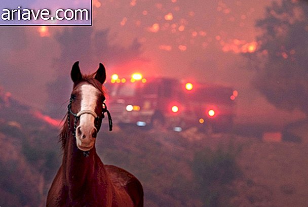Калифорнија пожари