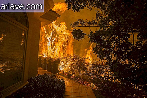 Kaliforniában tüzek