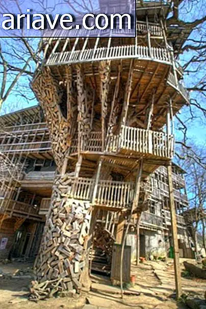 Gặp gỡ ngôi nhà trên cây mất 15 năm để xây dựng [phòng trưng bày]