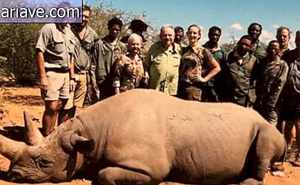 Surnud Rhino jahimees