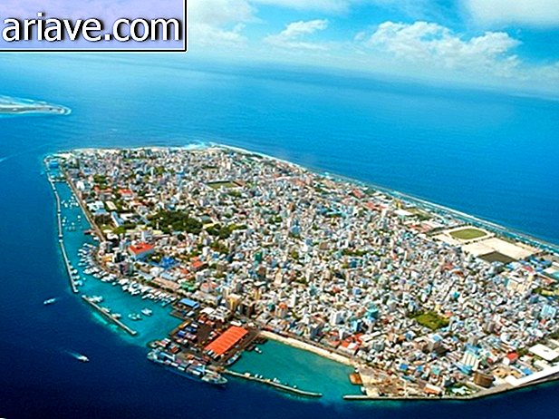 Maschio, Maldive