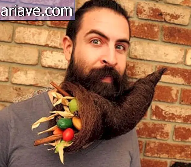 Dai un'occhiata a 16 versioni più bizzarre e sorprendenti di barbe