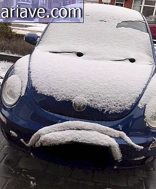 Avto s snegom