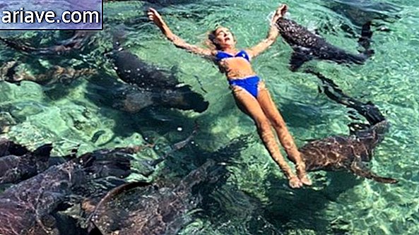 Femme nageant avec les requins